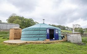 Kestrel Yurt